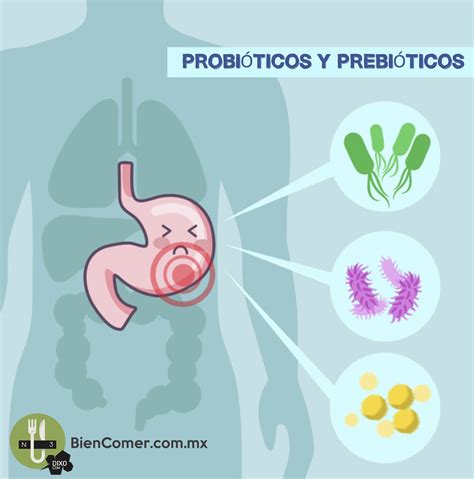 prebioticos y probioticos - herida sana y herida infectada
